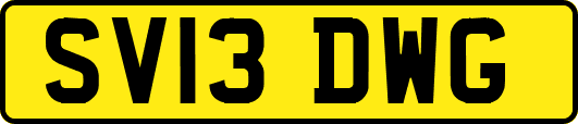 SV13DWG