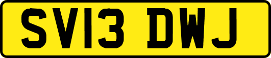 SV13DWJ