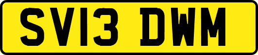 SV13DWM