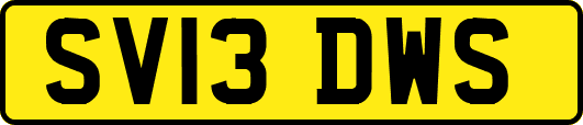 SV13DWS