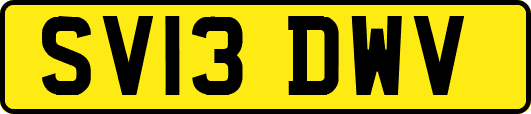 SV13DWV