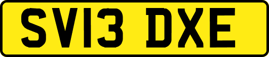 SV13DXE