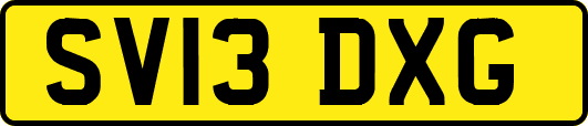 SV13DXG