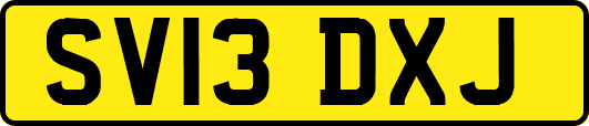 SV13DXJ