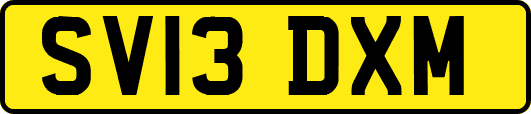 SV13DXM