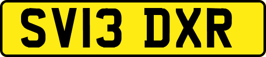 SV13DXR