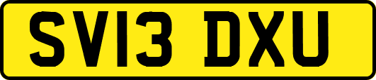 SV13DXU