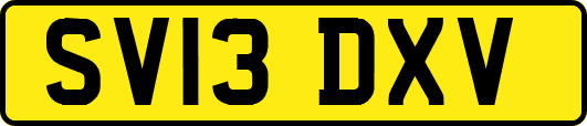 SV13DXV
