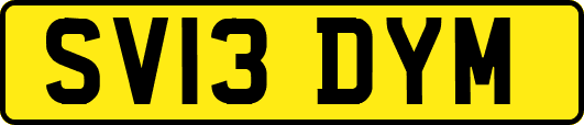 SV13DYM