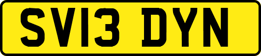 SV13DYN