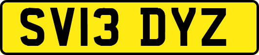 SV13DYZ