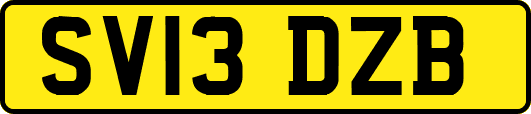 SV13DZB