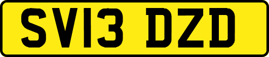 SV13DZD