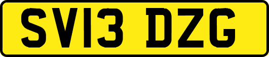 SV13DZG