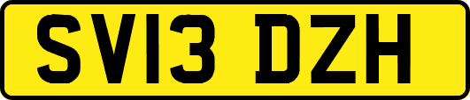 SV13DZH