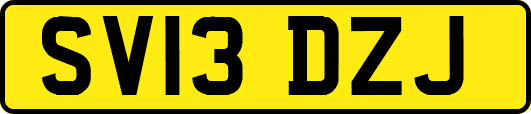 SV13DZJ