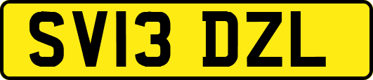 SV13DZL