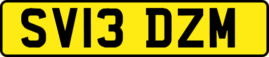 SV13DZM