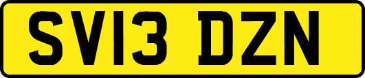 SV13DZN