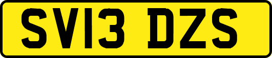 SV13DZS