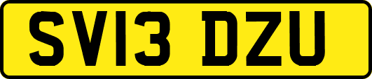 SV13DZU