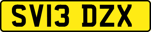 SV13DZX