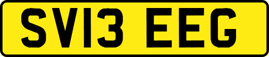 SV13EEG