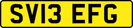 SV13EFG
