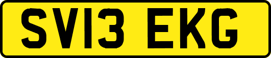 SV13EKG