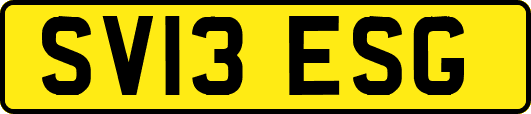 SV13ESG