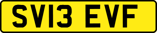 SV13EVF