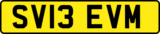 SV13EVM