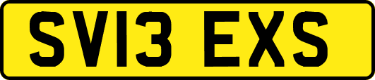 SV13EXS