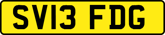 SV13FDG
