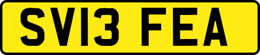SV13FEA
