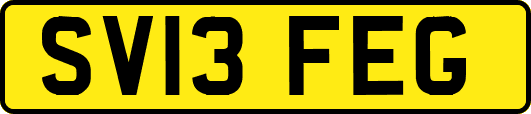 SV13FEG