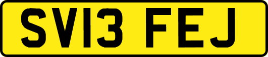 SV13FEJ