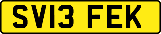 SV13FEK