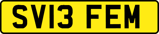 SV13FEM