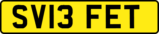 SV13FET