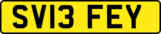 SV13FEY