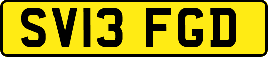 SV13FGD