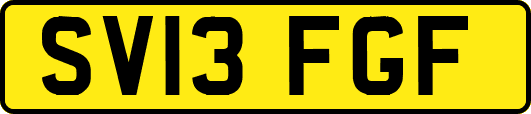 SV13FGF
