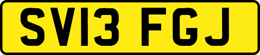 SV13FGJ