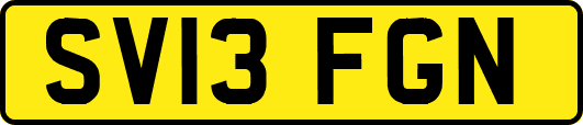 SV13FGN