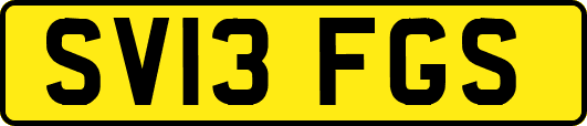 SV13FGS