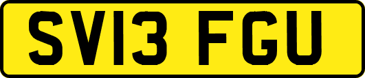 SV13FGU