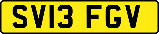 SV13FGV