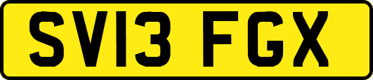 SV13FGX