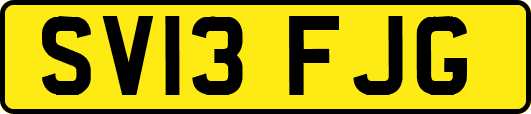 SV13FJG
